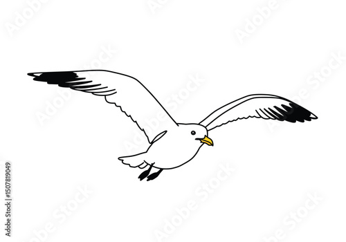 Seagull drawing. This black and white outline illustrates a seagull in flight, a common bird found near coastal areas and known for its distinctive wings. Vector sketch line art draw.