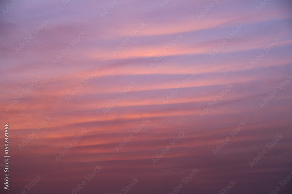 Fototapeta premium 波のような朝焼け雲