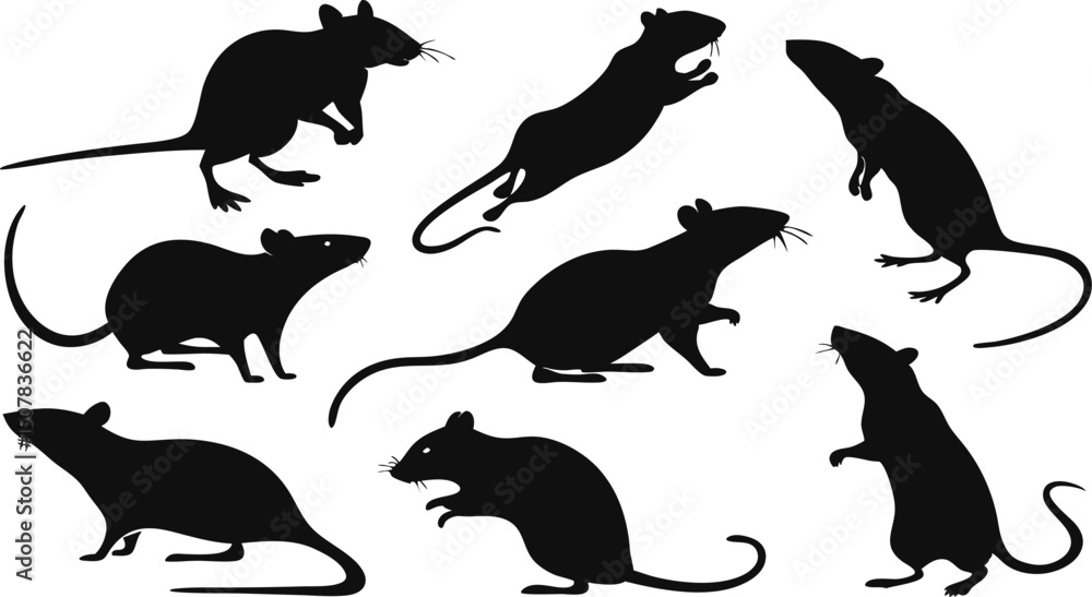 Obraz premium Collection of Mouse Silhouettes Diverse Poses and Styles for Design Projects