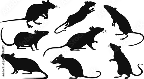 Collection of Mouse Silhouettes Diverse Poses and Styles for Design Projects