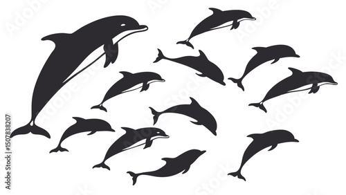 Majestic Dolphins A Collection of Elegant Dolphin Silhouettes