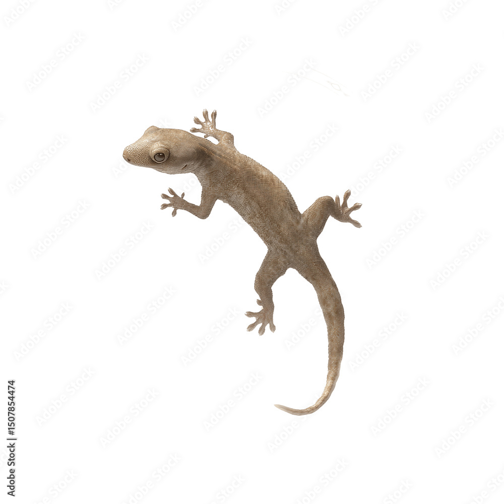 Naklejka premium Leaping Gecko A Dynamic Reptile in Mid-Air
