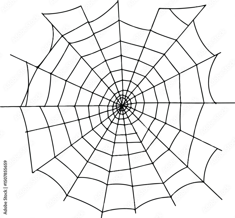 Obraz premium spider on web