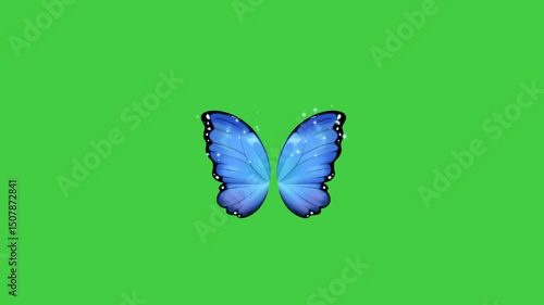 greenscreen video of butterfly wings flying bright blue