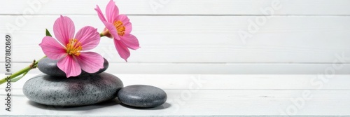 Polished grey stones & delicate flower arrangement on white wood backdrop , serene, grey