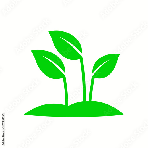 green plant on white