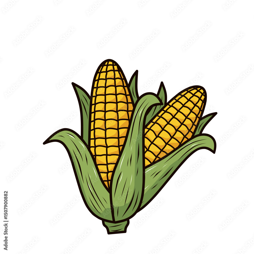 Obraz premium illustration of two corn cobs side-by-side with fresh green husks. Ideal for farm market branding, food packaging, or agriculture-themed content