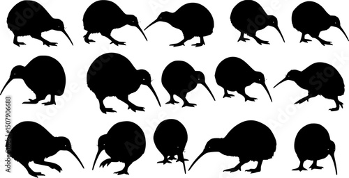Set of kiwi bird silhouette, black and white silhouette, vector and illustration
