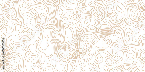 Abstract Swirl Pattern with White Paper Wave Relief – Modern Curved Line Topography Background for Elegant Design Projects