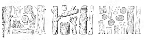 Vector outlines of wooden elements featuring trunks and knots.