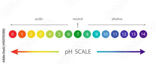 PH Scale diagram. Gauge for acid and alkaline balance. Chemical analysis or test. Vector illustration isolated on white background.