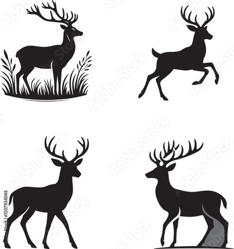 Deer 