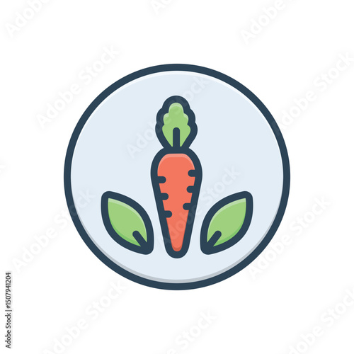 Color illustration icon for organic food