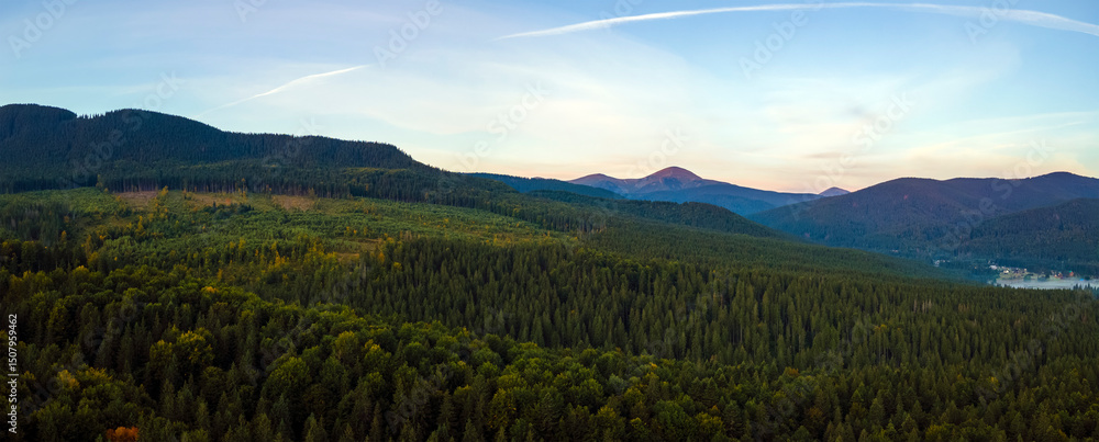 Fototapeta premium Aerial view of amazing scenery with dark mountain hills covered with forest pine trees at autumn sunrise. Beautiful wild woodland at dawn