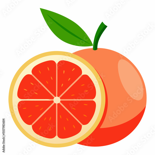Whole grapefruit vector illustration with cross-section on white background