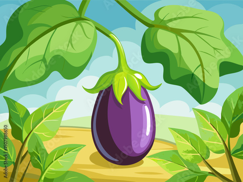 eggplant 