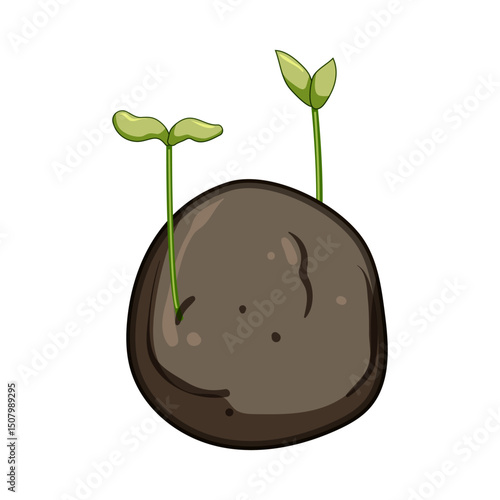 wildflowers grass seed bomb cartoon vector illustration