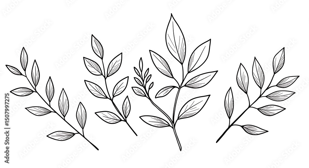 Fototapeta premium Elegant Hand Drawn Botanical Illustration Black and White Line Art Leaves and Branches