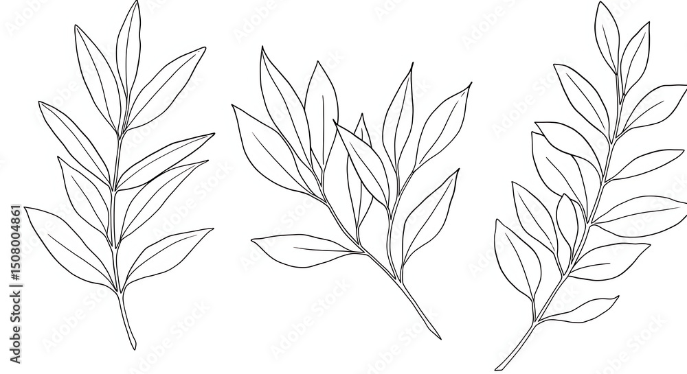 Naklejka premium Elegant Line Art Botanical Illustration Three Delicate Branches with Leaves Perfect for Design