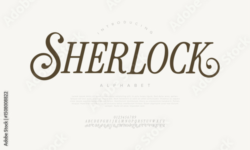 Vintage serif font with dramatic curves and elegant character, ideal for editorial titles and classic branding