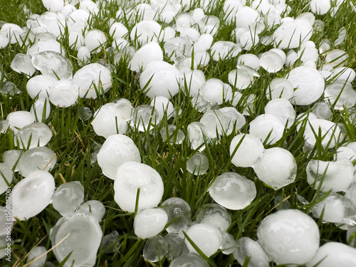 Large hailstones scattered on grass after severe storm