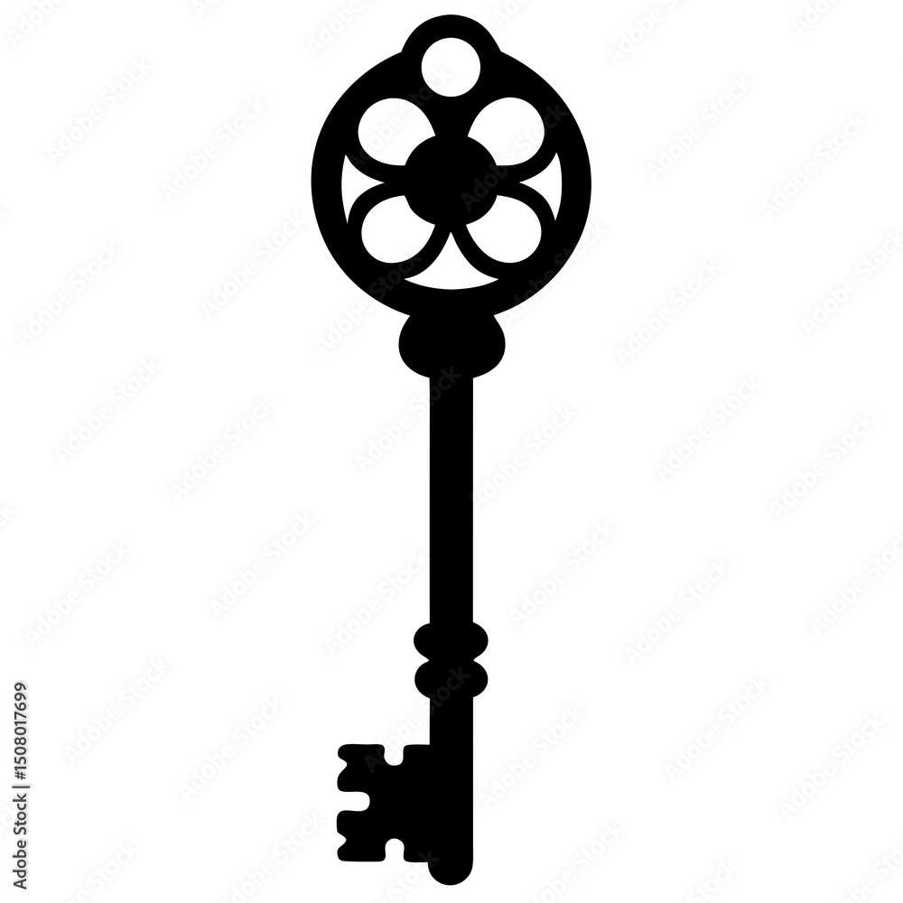 Obraz premium old key isolated on white background