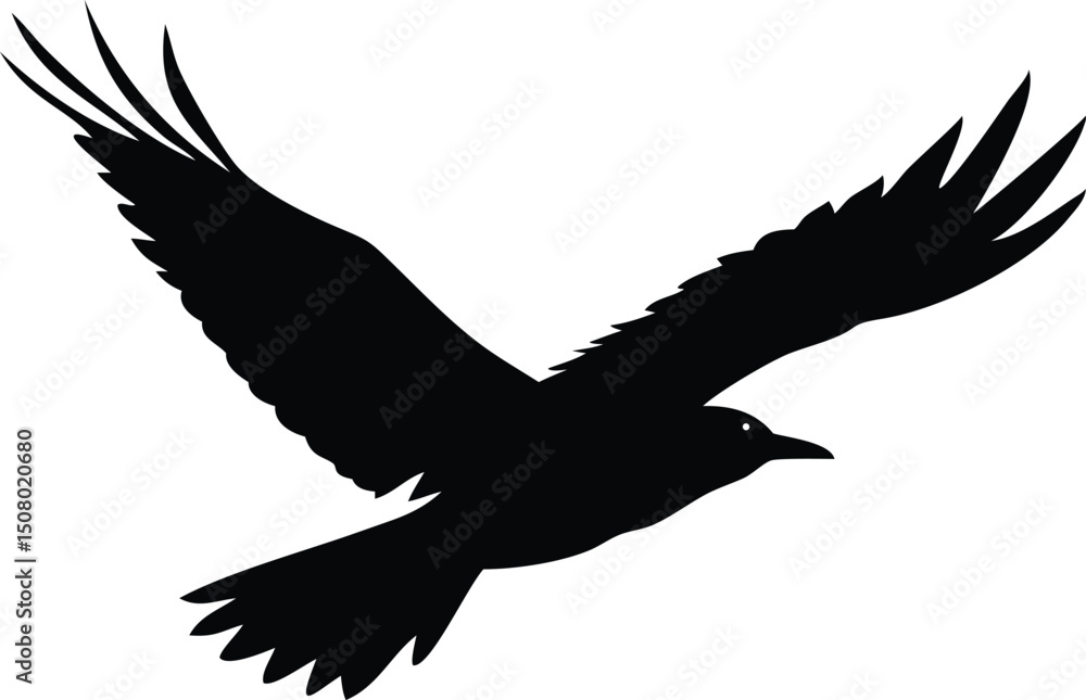 Obraz premium Bird soars through the sky, its expansive wings casting a bold, beautiful silhouette