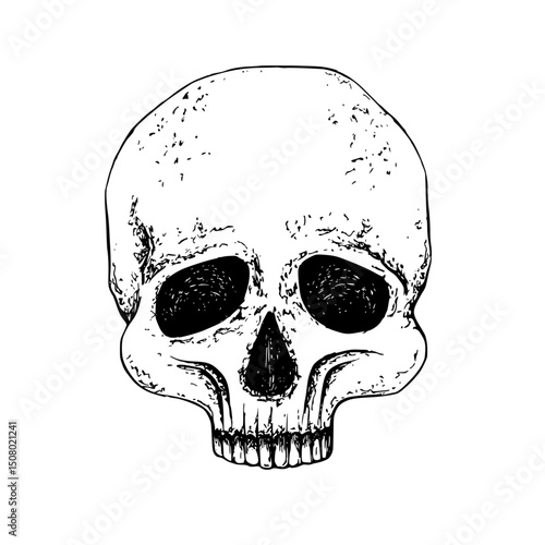 Half human skull Graphic illustration, front full face with white plate. Gothic's concept for Halloween design, Day of the Dead, for textile, packaging, stationery, apparel. Black hand drawn vector