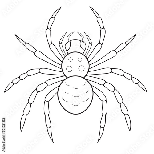 Detailed Line Art Illustration of a Spider