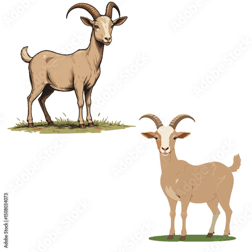Rural Life Icons: Isolated Sheep and Goats Illustration