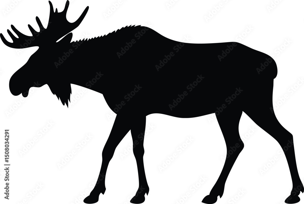 Fototapeta premium Majestic moose silhouette displays its impressive antlers while calmly standing in natural light