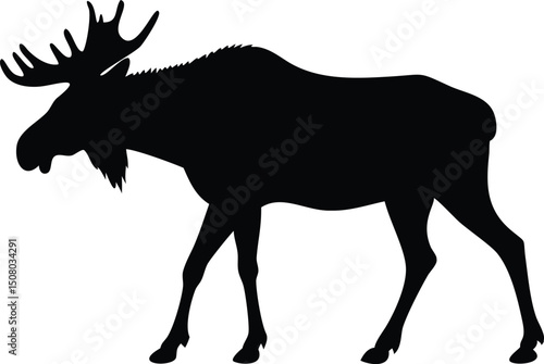 Majestic moose silhouette displays its impressive antlers while calmly standing in natural light