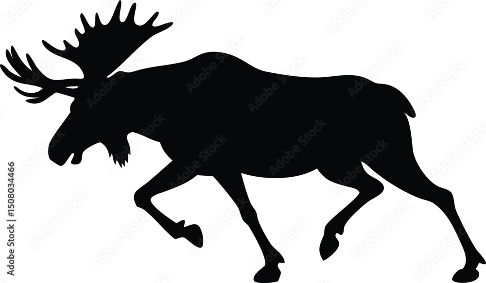 Obraz premium Majestic moose silhouette strides forward, its impressive antlers defining its powerful presence against white