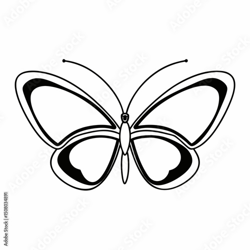 Butterfly outline isolated on white background in black and white
