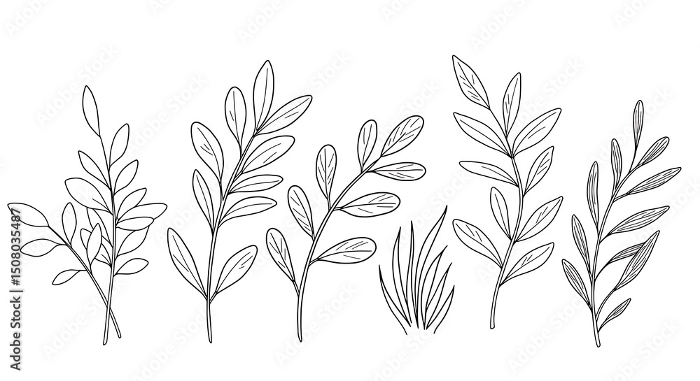 Naklejka premium Elegant Line Art Botanical Illustrations Sprigs Leaves and Grass Perfect for Design Projects