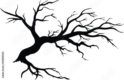 Silhouette of an old, leafless tree exhibits a stark beauty against the plain backdrop