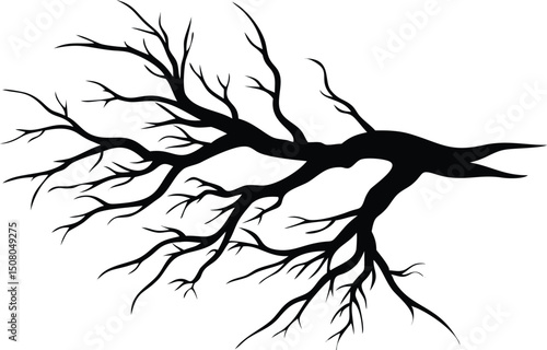Stark black branch with extended limbs creates an artistic, simple tree silhouette