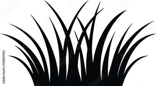 Thick clump of grass with several spiky blades is vividly silhouetted in black