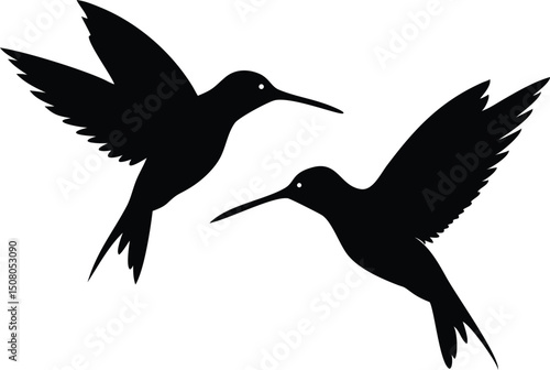 Two black hummingbird silhouettes in midflight add a graceful touch to any project