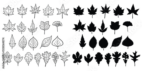 Set of leaves. Hand drawn decorative elements. Vector illustration