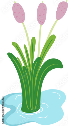 Clump of flower grass in cartoon style Illustration