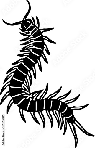 vector illustration of a scorpion