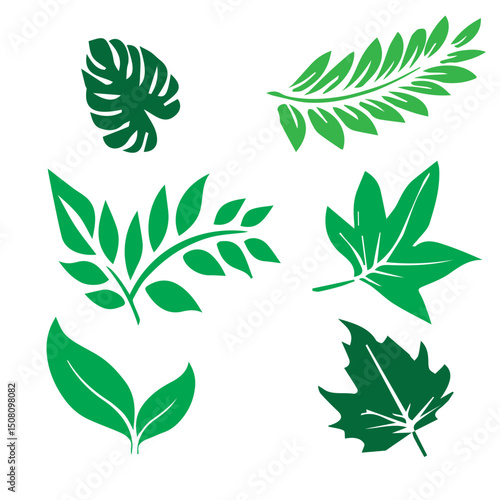  Leaf vector set of 6