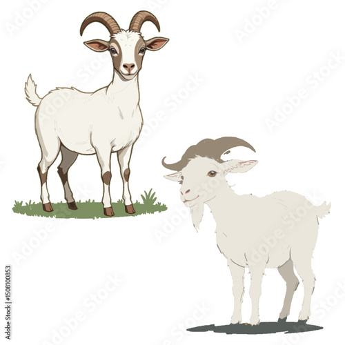 Animal Kingdom Diversity: Sheep and Goats Side by Side