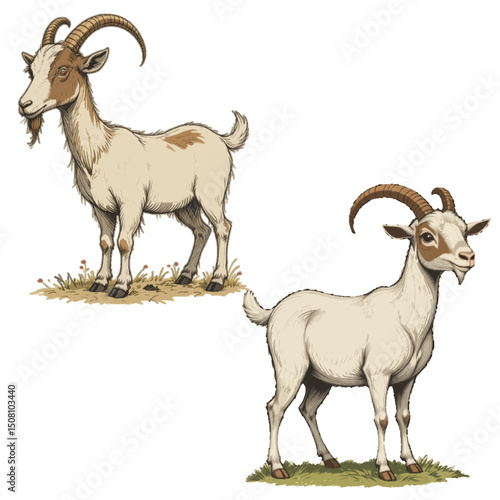 Animal Kingdom Diversity: Sheep and Goats Side by Side