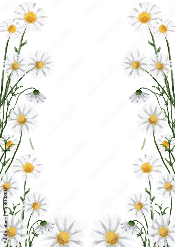 Fototapeta premium White Daisies Frame