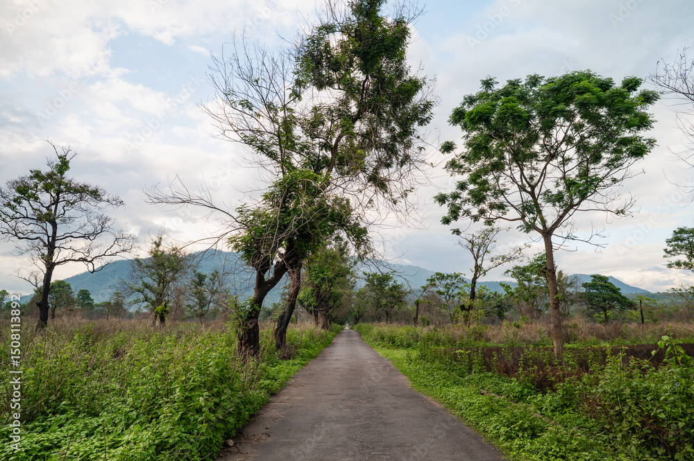 road in the countryside road in the countryside