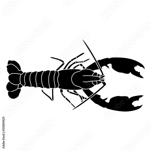 crayfish