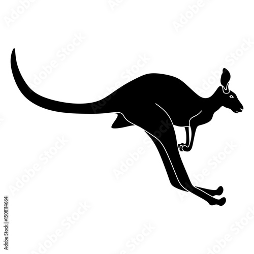 kangaroo