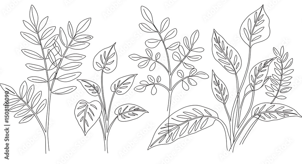 Elegant Line Art Botanical Illustration Leaves Branches and Foliage Design Elegant Line Art Botanical Illustration Leaves Branches and Foliage Design